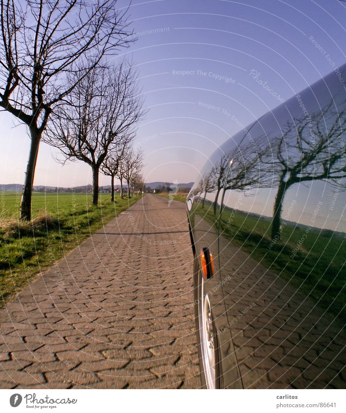 Bei sich selber klauen Fußweg Baumreihe fahren Kotflügel Spiegelbild Horizont Straßenbelag Beschleunigung Geschwindigkeit Verkehrsmittel Pannenhilfe Autopflege