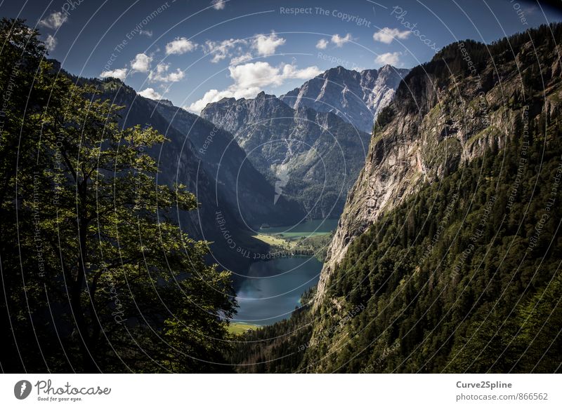 Idylle Natur Landschaft Urelemente Wasser Sommer Schönes Wetter Wald Felsen Berge u. Gebirge Seeufer wandern authentisch Abenteuer Berchtesgadener Alpen Baum