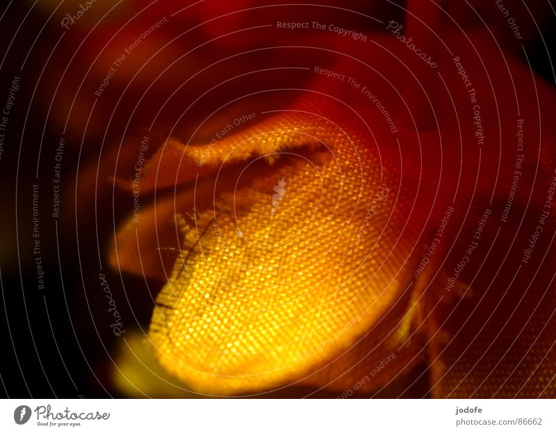 ~goldverträumt~ Blütenkette Blume Frühling Sommer falsch Stoff Schmuck verschönern Girlande gelb Faser träumen Verbundenheit Physik Licht Süden Wohlgefühl