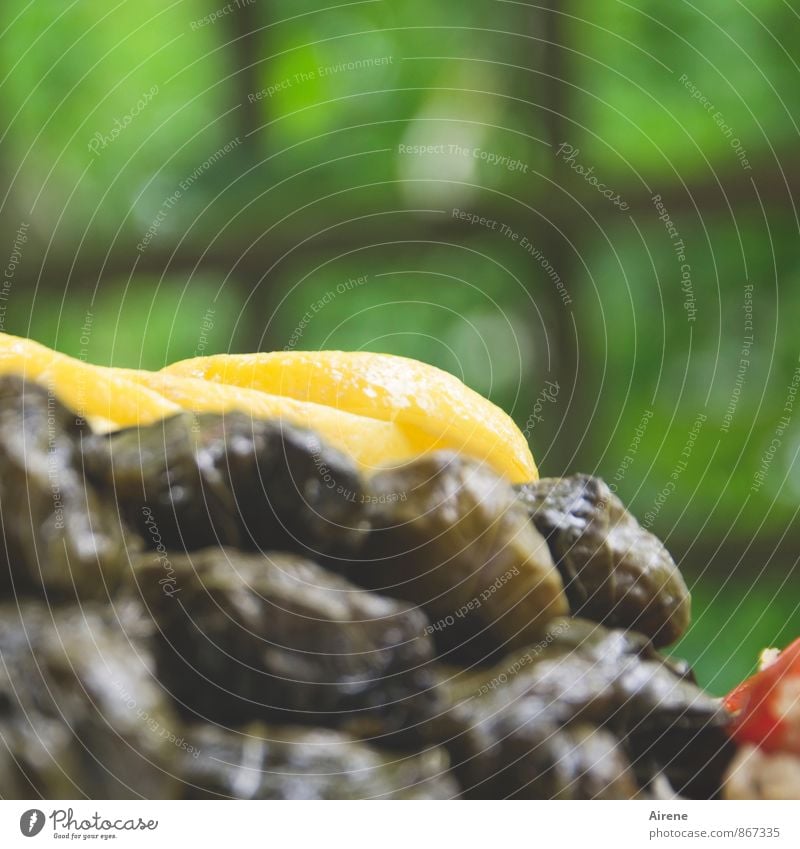 Weinberg Gemüse Öl Olivenöl Zitronenscheibe Tomate Ernährung Abendessen Büffet Brunch Picknick Bioprodukte Vegetarische Ernährung Essen genießen frisch