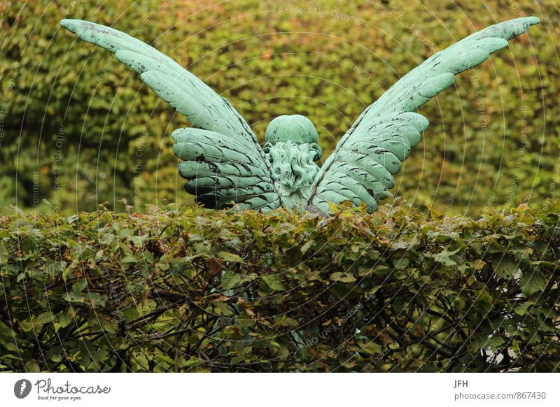 beflügelt Dekoration & Verzierung Engel Flügel Engelsflügel Statue Kupfer Hecke Grün Erinnerung Trauer Friedhof Tod Grab Rücksicht Hinterlassen Sorge Erbe