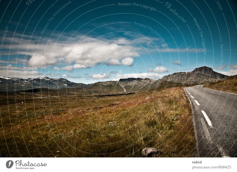 Open road Ferien & Urlaub & Reisen Ausflug Ferne Freiheit Sommer Natur Landschaft Pflanze Himmel Wolken Horizont Sonne Schönes Wetter Gras Sträucher Moos