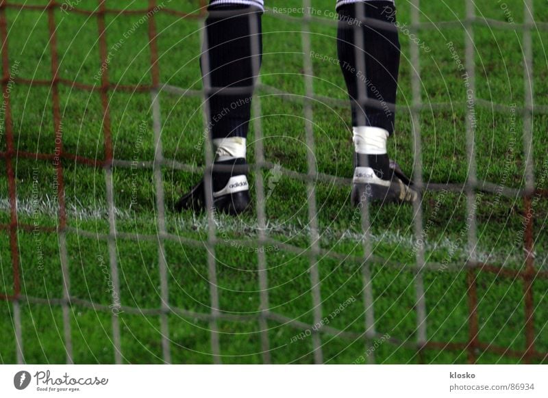 Torwart stehen Turnschuh grün Liga Spielen Sportplatz Sportverein Athlet Fußballvereine Fußballmannschaft Sportveranstaltung Junger Mann Deutscher Fußball-Bund