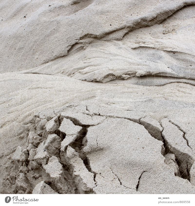 Verwerfungen Umwelt Natur Landschaft Erde Sand Küste Strand Nordsee Ostsee Insel Riss alt ästhetisch außergewöhnlich braun authentisch beweglich Leben verstört