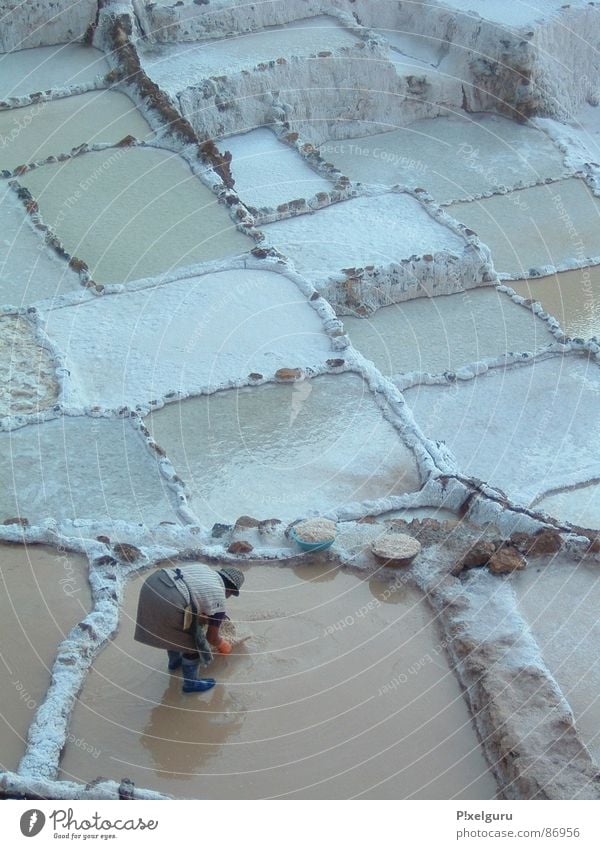 Salt Frau Korb Peru schöpfen Südamerika abschöpfen wei terassenförmig salzterasse Salz Arbeit & Erwerbstätigkeit Becken Wasser salt water