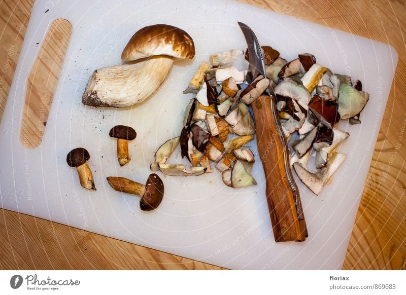 nach dem pilzspaziergang. Lebensmittel Ernährung Vegetarische Ernährung Messer Umwelt Pflanze Erde Herbst Wald Holz Metall Kunststoff Essen ästhetisch braun