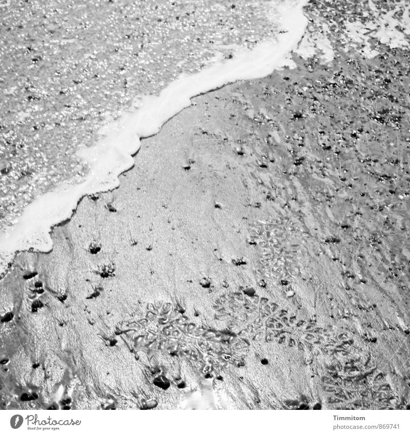 Weitergehen. Ferien & Urlaub & Reisen Umwelt Natur Urelemente Erde Sand Wasser Bucht Nordsee Dänemark Spuren Gischt Blick ästhetisch einfach nass natürlich grau