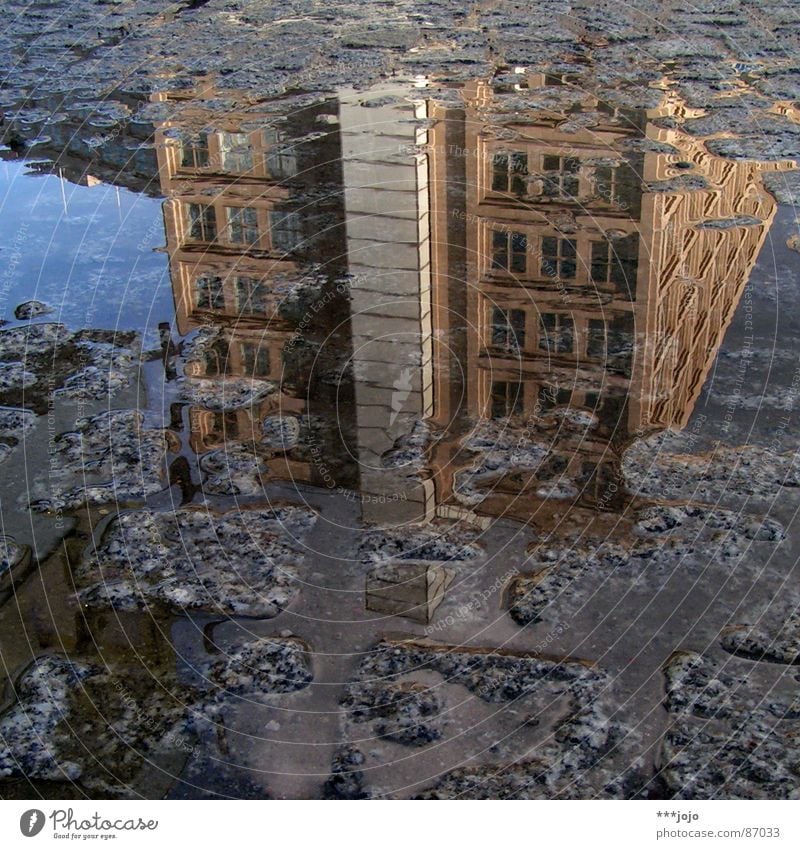 pfuetze berlin Pfütze Haus auf dem Kopf Kopfstand Alexanderplatz Platz Mitte Straßenbelag verrückt Spiegelbild Berlin madostyle Grober Drachenkopf Wasser