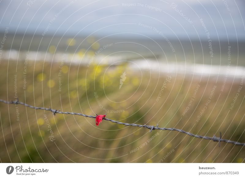 reste bleiben. Tourismus Ausflug Meer Himmel Pflanze Gras Stacheldraht Metall Linie rot Sicherheit Farbfoto Außenaufnahme Nahaufnahme Detailaufnahme