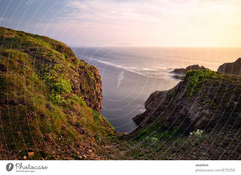 Meer.Aussicht Umwelt Landschaft Pflanze Himmel Wolken Horizont Sonnenaufgang Sonnenuntergang Sommer Wetter Schönes Wetter Blume Gras Moos Blüte Felsen