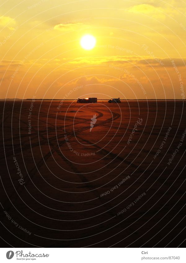 Zur Sonne, zur Freiheit Rømø Sonnenuntergang gelb Licht Unendlichkeit Ferne Bus Spuren Reifenspuren Strand Küste Meer Wolken Romantik Abenddämmerung Himmel Erde