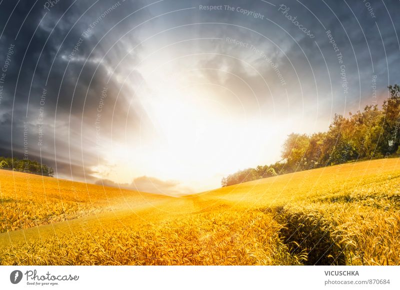 Herbst Landschaft mit stürmischen Himmel und Sonnenschein Sommer Natur Gewitterwolken Horizont Sonnenaufgang Sonnenuntergang Sonnenlicht Wiese Feld Hügel blau