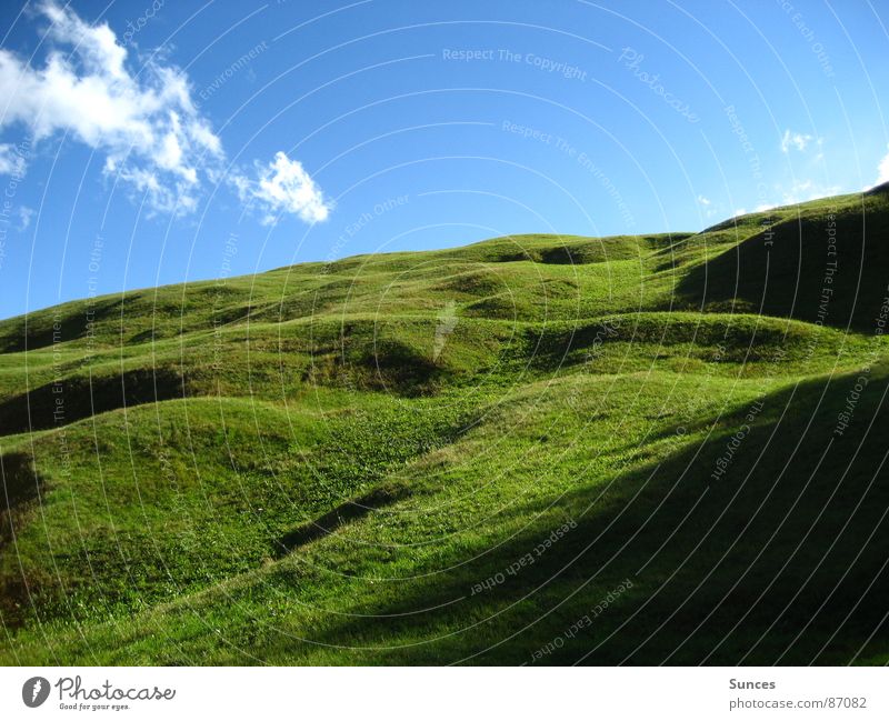 Wiese grün Sauberkeit schön Alm Gras geschmackvoll himmlisch Himmel Berge u. Gebirge Landschaft ästhetisch Rasen