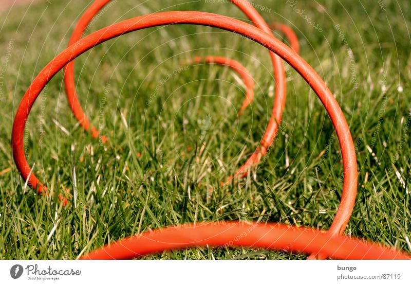 Keep Rollin' Kabel Gras Wiese Sommer Frühling Halm Untergrund Elektrizität Arches National Park springen Anschluss verbinden Verbindung Kommunizieren bow attach