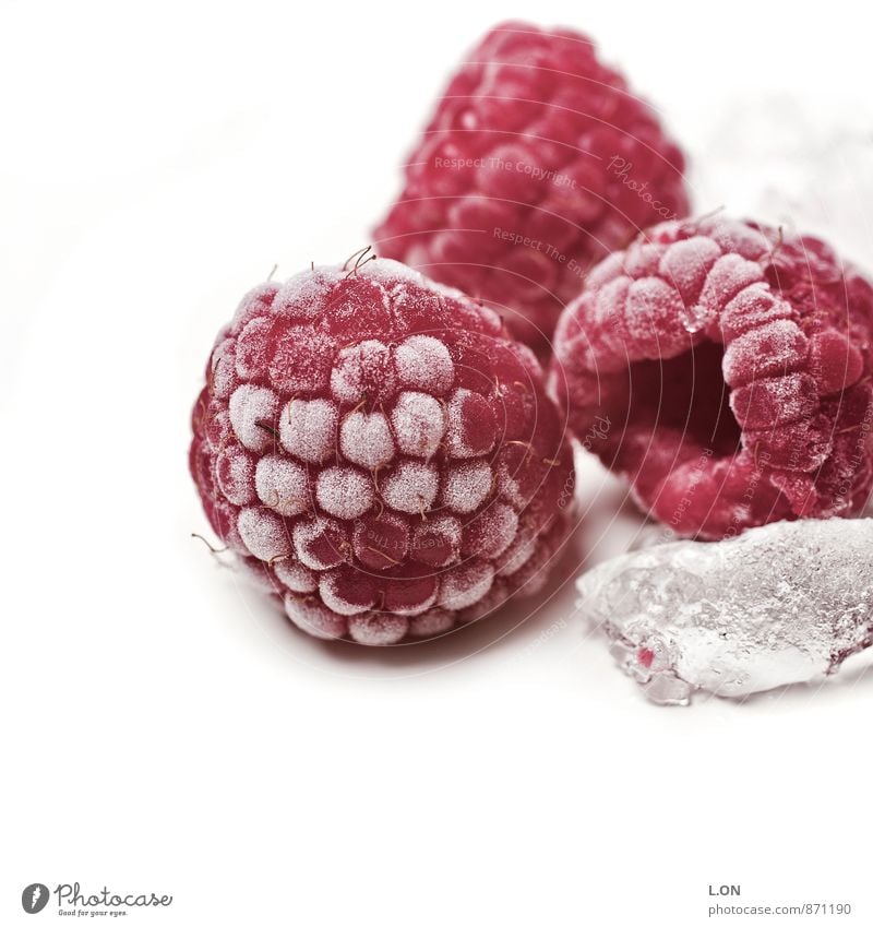 Himbeere eisgekühlt Lebensmittel Frucht Himbeeren Himbeereis Eiswürfel kalt gefroren Ernährung Pflanze Gesundheit rot Farbfoto Studioaufnahme Menschenleer