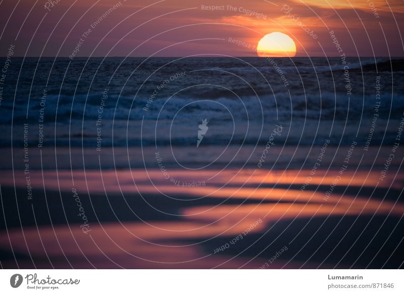 Feuertaufe Landschaft Urelemente Sand Wasser Himmel Sonnenaufgang Sonnenuntergang Schönes Wetter Wellen Strand Meer groß Unendlichkeit Kitsch maritim schön blau