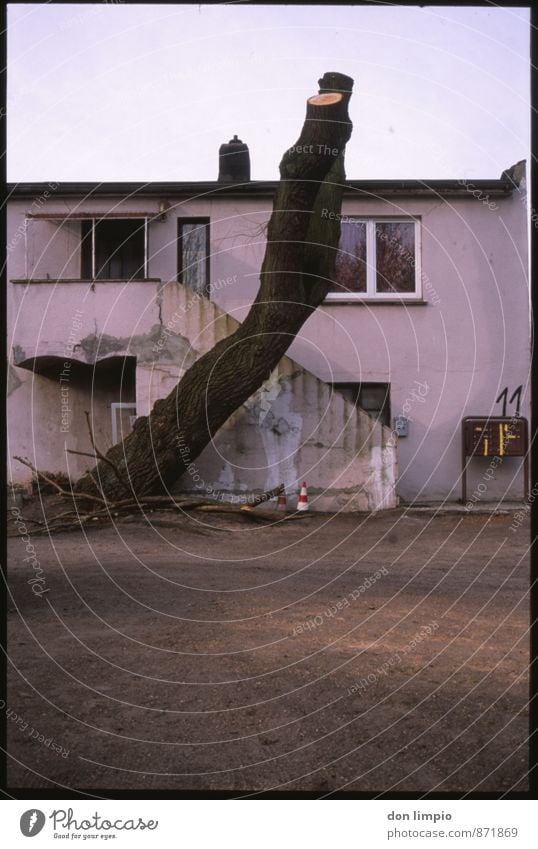 bleiben will ich, wo ich nie gewesen bin Wohnung Haus Herbst Baum Stadt Einfamilienhaus Ruine Häusliches Leben dunkel hässlich trist Stimmung Endzeitstimmung