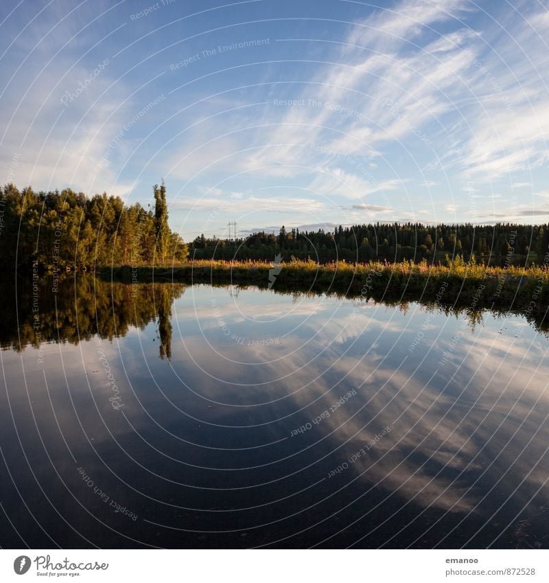 schwedische Seen! Schwimmen & Baden Ferien & Urlaub & Reisen Ausflug Ferne Freiheit Sommer Natur Landschaft Pflanze Wasser Himmel Wolken Horizont Klima Wetter