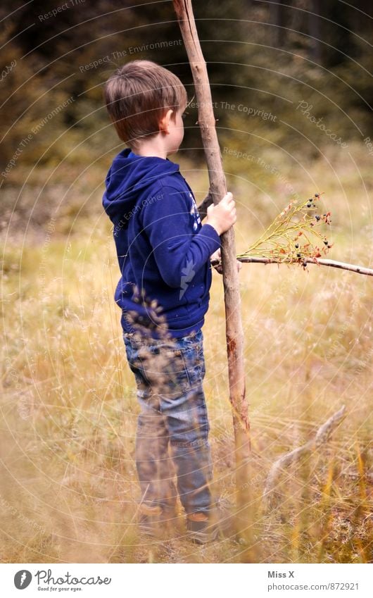 Hänschen klein Freizeit & Hobby Spielen Ferien & Urlaub & Reisen Ausflug Abenteuer Ferne Mensch maskulin Kind Junge Kindheit 1 3-8 Jahre 8-13 Jahre Natur Herbst