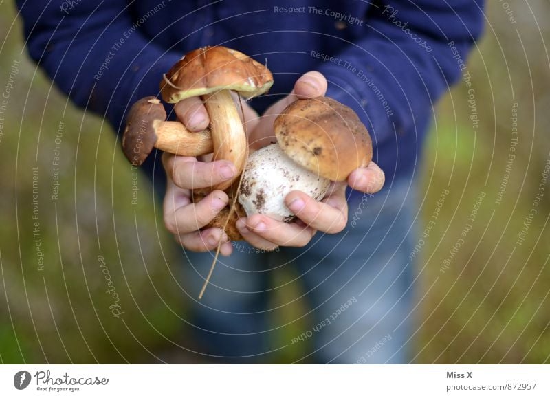 Fleißig Lebensmittel Ernährung Bioprodukte Vegetarische Ernährung Gesunde Ernährung Freizeit & Hobby Mensch Kind Hand Finger 1 3-8 Jahre Kindheit 8-13 Jahre