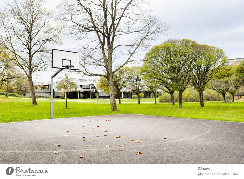 SPIEL R A U M Freizeit & Hobby Spielen Sportstätten Baskettballplatz Basketballkorb Landschaft Herbst Baum Gras Sträucher Park Wiese Stadt einfach frisch kalt