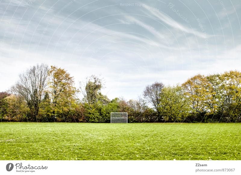 SPIEL R A U M Freizeit & Hobby Spielen Sportstätten Fußballplatz Natur Landschaft Himmel Wolken Winter Schönes Wetter Baum Gras Sträucher Wiese einfach frisch