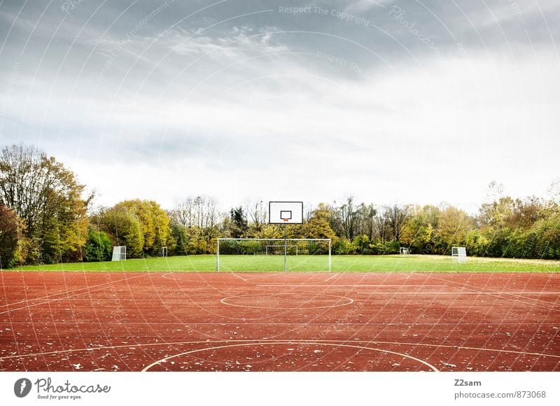 SPIEL R A U M Freizeit & Hobby Sport Fußballplatz Basketball Basketballkorb Tor Sportstätten Sportplatz Natur Landschaft Himmel Sommer Schönes Wetter Baum