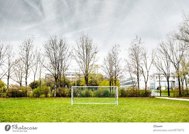 SPIEL R A U M Freizeit & Hobby Spielen Sommer Sport Sportstätten Fußballplatz Natur Himmel Wolken Herbst Baum Gras Sträucher Wiese Kleinstadt Stadt Gesundheit