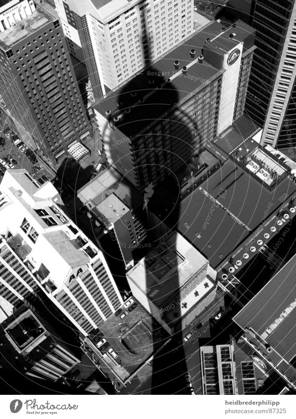 Über den Dächern Aucklands Neuseeland Haus Dach Stadtzentrum Dinge Schatten Schwarzweißfoto