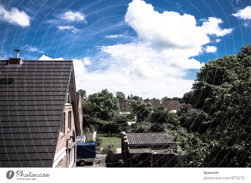 Dorfidylle Landschaft Himmel Wolken Baum Kleinstadt Einfamilienhaus Bauwerk Gebäude Architektur Mauer Wand Fassade Fenster Dach Schornstein Antenne