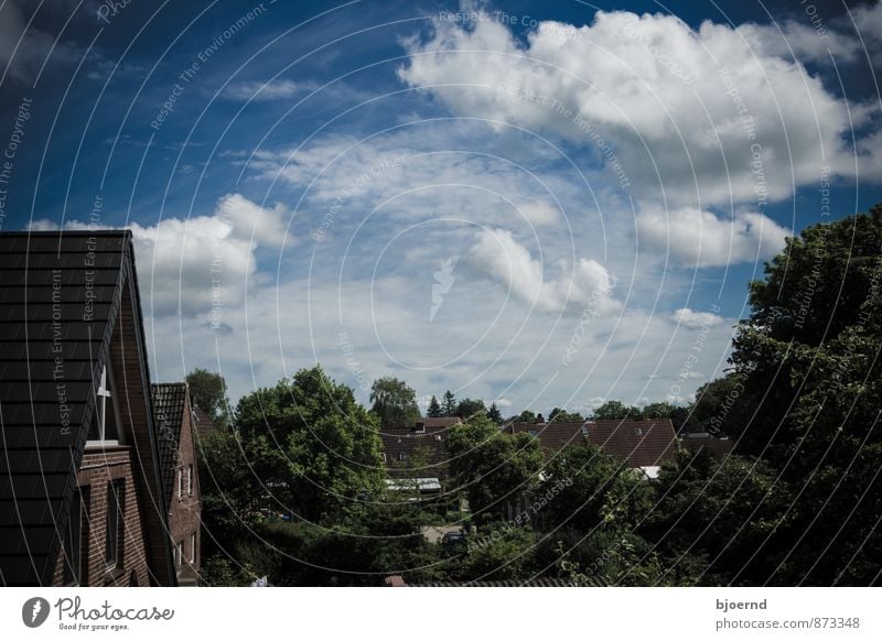 Dorfidylle Landschaft Himmel Wolken Baum Kleinstadt Einfamilienhaus Bauwerk Gebäude Architektur Mauer Wand Fassade Fenster Dach blau grün weiß Geborgenheit