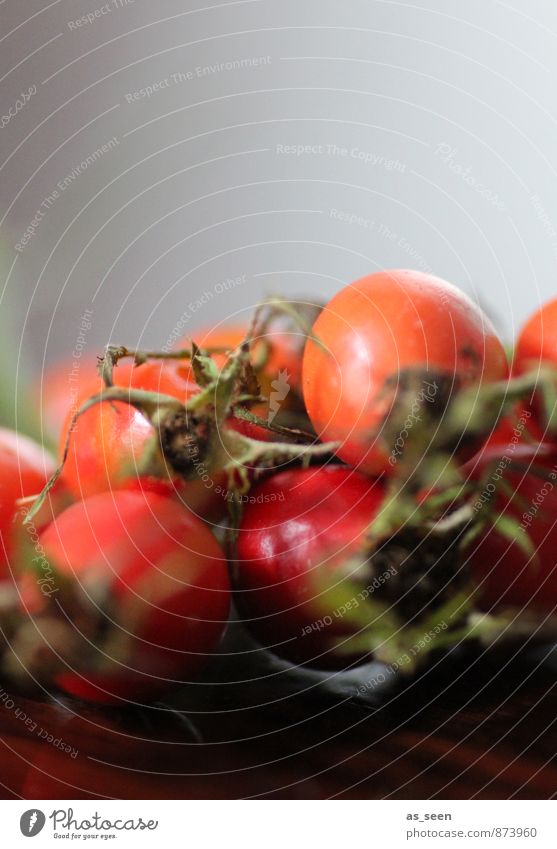 Hagebutten Frucht Marmelade Tee Hagebuttentee Hagebuttenmarmelade Gesundheit Wellness harmonisch Erntedankfest Natur Pflanze Herbst Blüte Wildpflanze Park