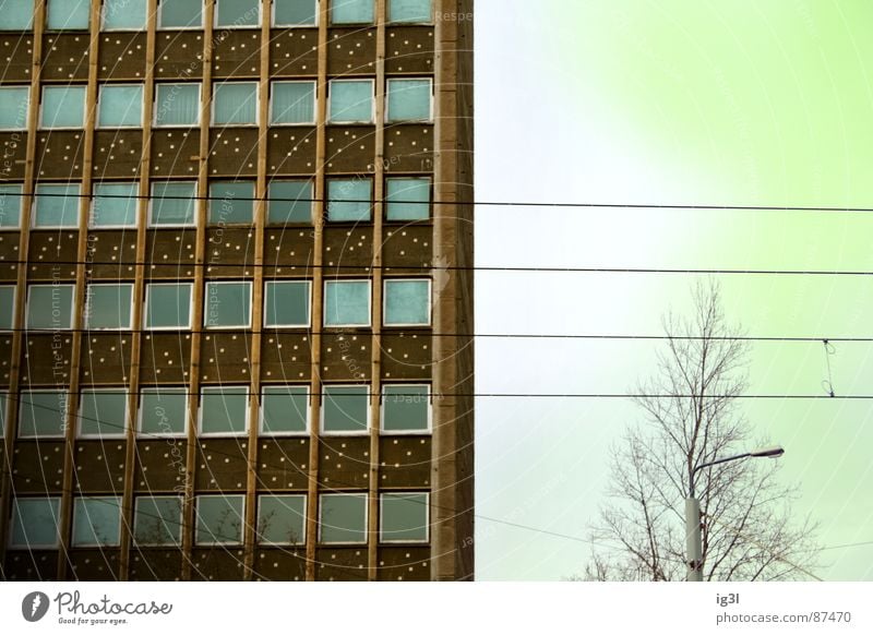 DDR-Relikt brüderlich einzigartig Hintergrundbild Haus Wohnhochhaus Wohnung Lebensraum Fenster Anordnung Reihe Mitte Verlauf Elektrizität Außenaufnahme