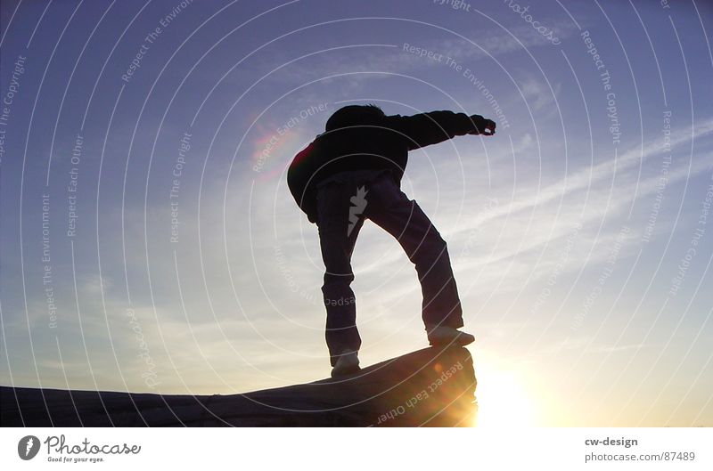 baumstammsurfer Rennbahn 2 Hoppegarten ähm Kobra Erwartung Aktion Baumstamm Körperhaltung maskulin Bodybuilder Straßennamenschild Sonnenuntergang schwarz