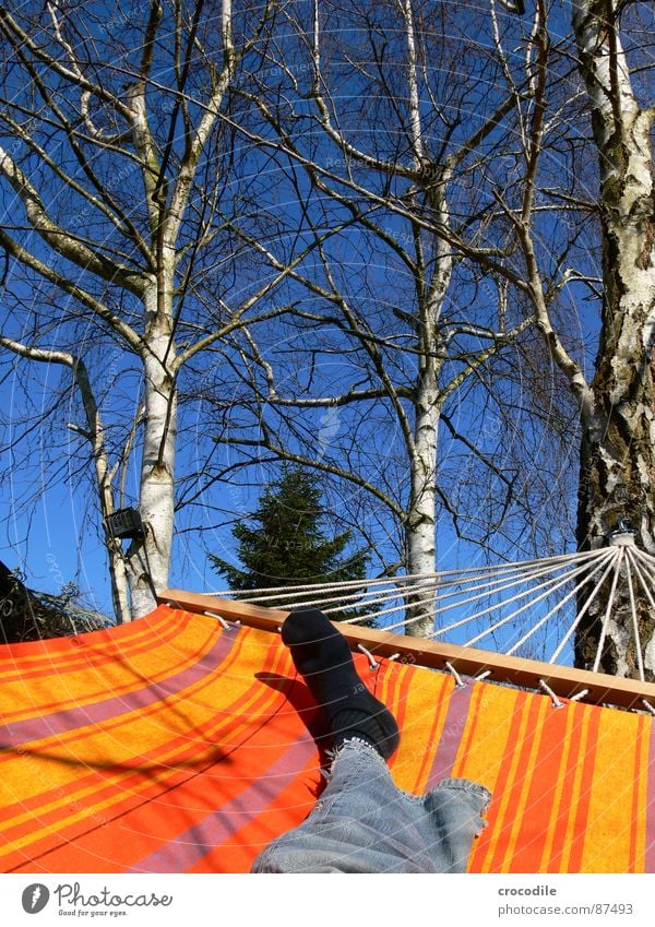 gartenurlaub Sommer Hängematte Frühling Physik hängen Erholung Birke Strümpfe Streifen Haken Baumstamm genießen Jeansstoff Sonnenbad hängen lassen Jeanshose