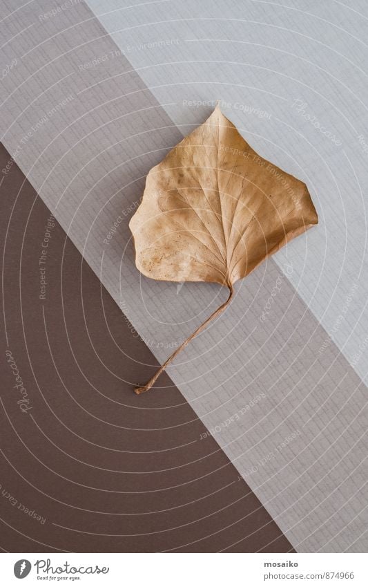 Herbstblatt Leben Freizeit & Hobby Herbstlaub Erntedankfest Umwelt Natur Pflanze Baum Blatt alt braun gelb grau ästhetisch elegant Ende graphisch Geometrie