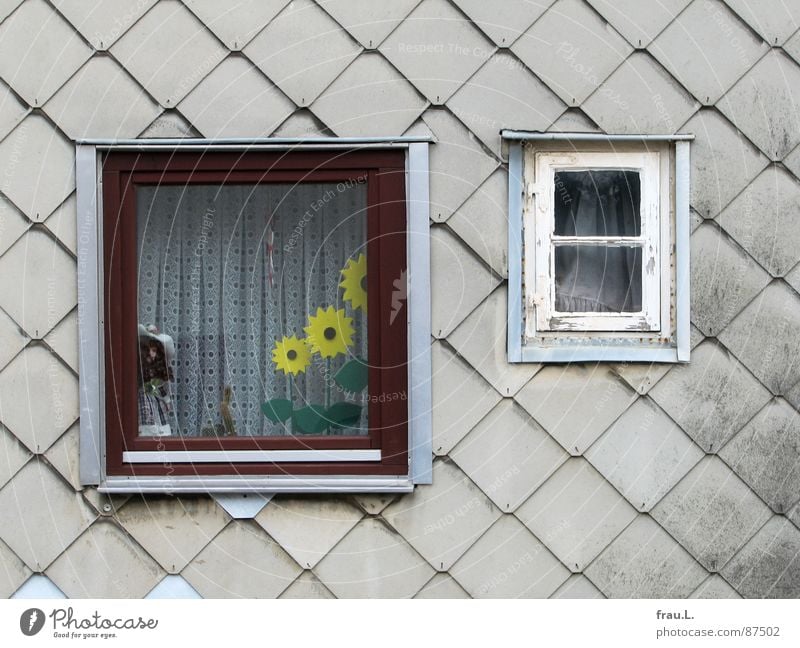 Fenster zum Glück Haus Wand Sonnenblume Gardine Häusliches Leben Puppe Kitsch alt