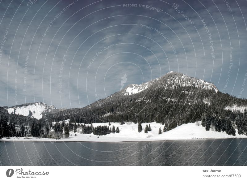 SpitzingSee Berge u. Gebirge Gipfel Wald Tanne Wellen Spiegel Berghütte dunkel steil erhaben kalt Nadelwald hart Bergkette Waldlichtung Macht Schneeschmelze