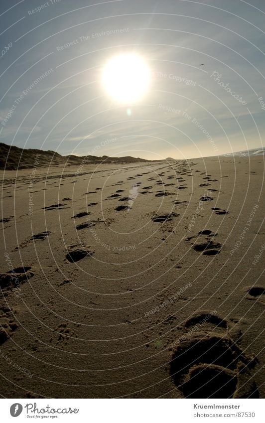 Strand Sylt Fußspur Wolken Winter Küste Sand Sonne Himmel