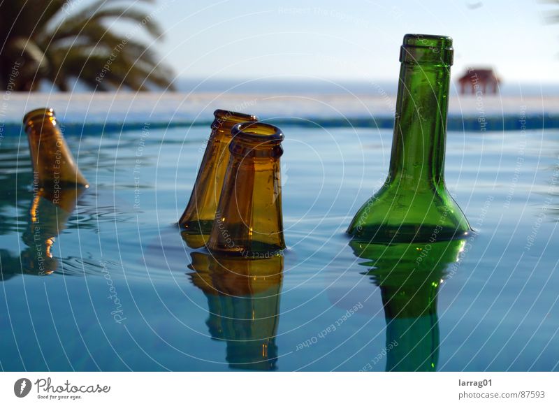 Dinge im Pool mehrere Elite grün braun Schwimmbad Meer Gelassenheit Im Wasser treiben Palme groß klein Spiegelbild Wellen Kreis Auswahl Stillleben wackeln