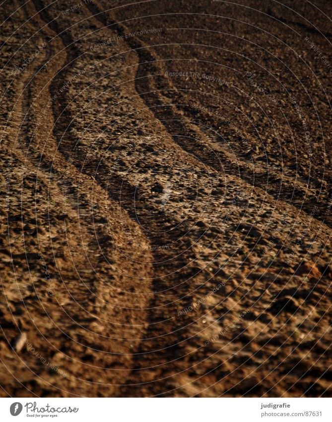 Acker Feld Wachstum Landwirtschaft braun pflügen Ackerbau Auftrag Erde Wiese Fußspur Sand Bodenbelag anbauen Linie bauerngut Humus wachsen lassen mutterboden