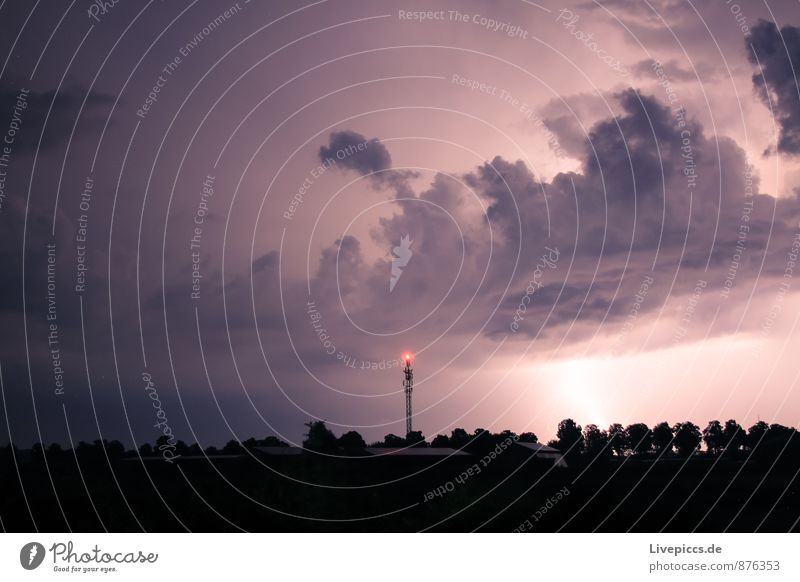 ...das letzte Umwelt Natur Landschaft Himmel Wolken Gewitterwolken Sommer Unwetter Blitze Pflanze Baum Feld leuchten dunkel gigantisch kalt rebellisch stark