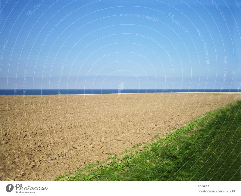 Horizonte - Spätsommer an der Ostsee Meer Feld Sommer Wiese Strand Küste Himmel Ferne