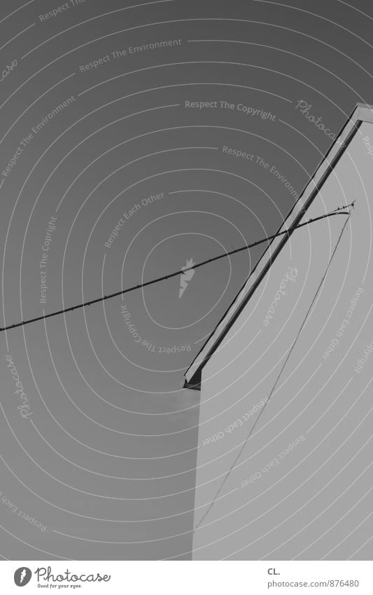 leinen los Himmel Schönes Wetter Haus Gebäude Architektur Mauer Wand Kabel ästhetisch Partnerschaft Verbindung Schwarzweißfoto Außenaufnahme Menschenleer Tag