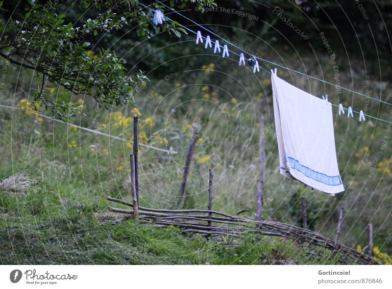 Leine Garten natürlich Wäscheleine Handtuch trocknen Wäsche waschen retro Landleben Baum Farbfoto Außenaufnahme Textfreiraum links Textfreiraum unten Tag