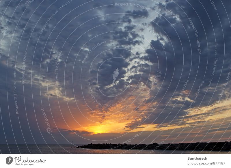 Nordhimmel Natur Landschaft Luft Himmel nur Himmel Wolken Gewitterwolken Horizont Sonne Sonnenaufgang Sonnenuntergang Sonnenlicht Sommer Wetter Schönes Wetter