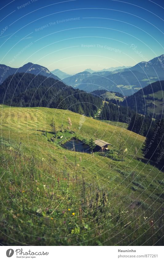 Fischweiher in den Bergen wandern Ferien & Urlaub & Reisen Freiheit Sommer Sommerurlaub Berge u. Gebirge Umwelt Natur Landschaft Himmel Schönes Wetter Pflanze