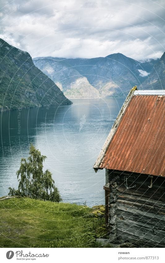 fjord Natur Landschaft Wetter Schönes Wetter Küste Bucht Fjord Meer Traumhaus Hütte Idylle Norwegen Norwegenurlaub Erholung Ferien & Urlaub & Reisen Holzhaus