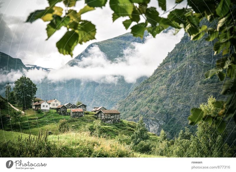 bergdorf Wolken Baum Berge u. Gebirge Dorf Haus Hütte schön Bergdorf Idylle Norwegen Höhe Landleben alt Farbfoto Außenaufnahme Menschenleer Tag