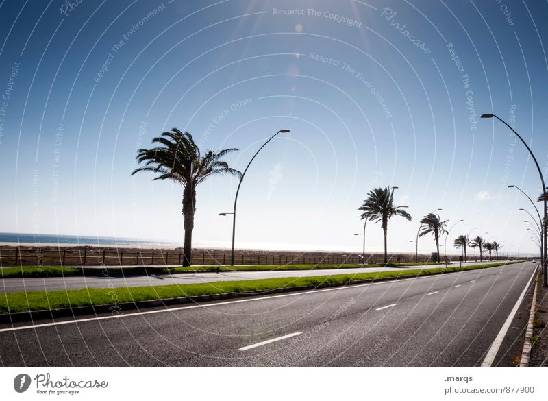 Road to Morro Jable Ferien & Urlaub & Reisen Ausflug Abenteuer Ferne Freiheit Natur Wolkenloser Himmel Horizont Sommer Palme Verkehr Verkehrswege Straße Laterne